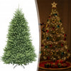 220cm PVC+PE Dirbtinė Kalėdų eglutė FRANKLIN