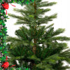 120 cm PE/PVC Dirbtinė Kalėdų eglutė