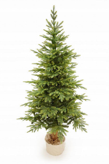 220 cm PE+PVC Dirbtinė Kalėdų eglutė su kamienu