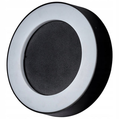 Sodo sieninis LED šviestuvas, 12W, IP54