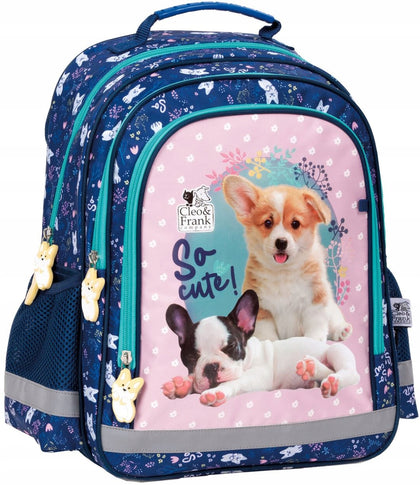 Mokyklinė kuprinė Derform