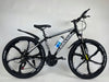 Dviratis Davos 1.0 MTB 17 