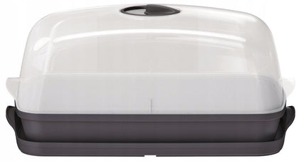 2vnt Stalinis mini šiltnamis 39,1 cm x 25,7 cm plastikas