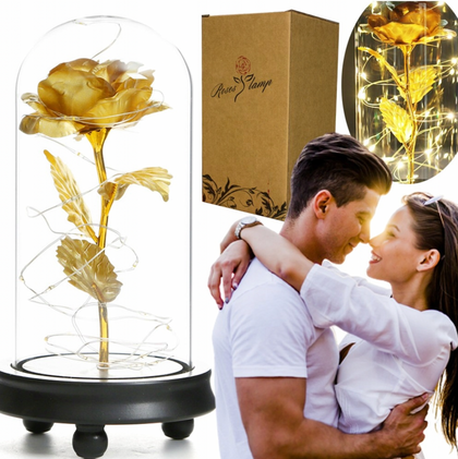 Amžina rožė + LED